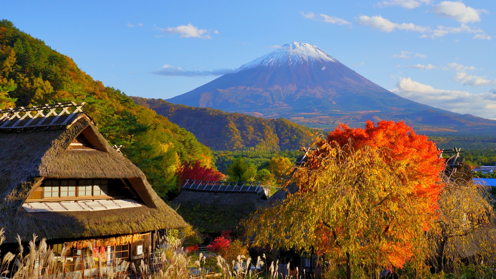 西湖いやしの里根場