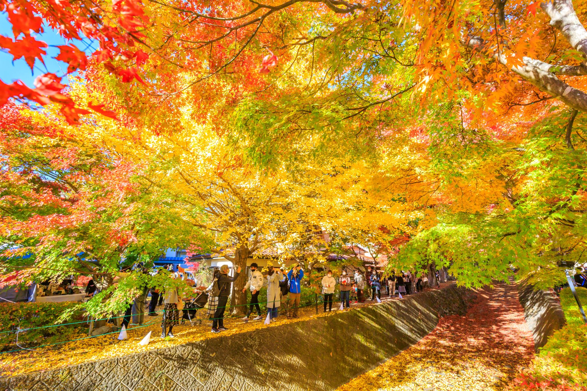 湖畔を彩る紅葉